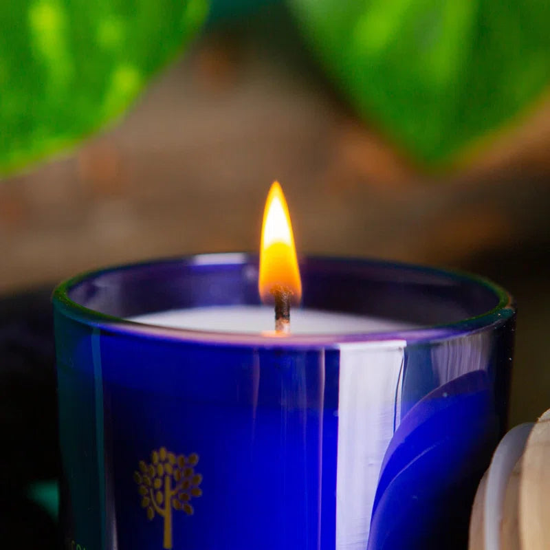 Patchouli & Rosewood Soy Wax Scented Candle